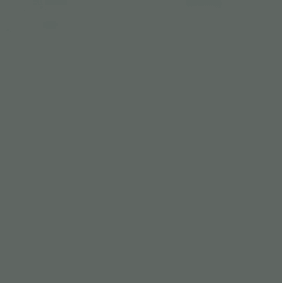 Basaltgrau ungenarbt (glatt) 701205083