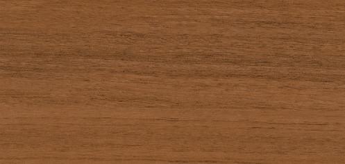 ICO055 Corteccia